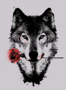 Wolf And Red Rose