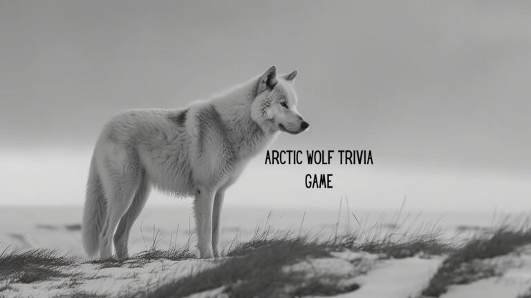 Wolves of the White Wilderness: Arctic Wolf Quiz